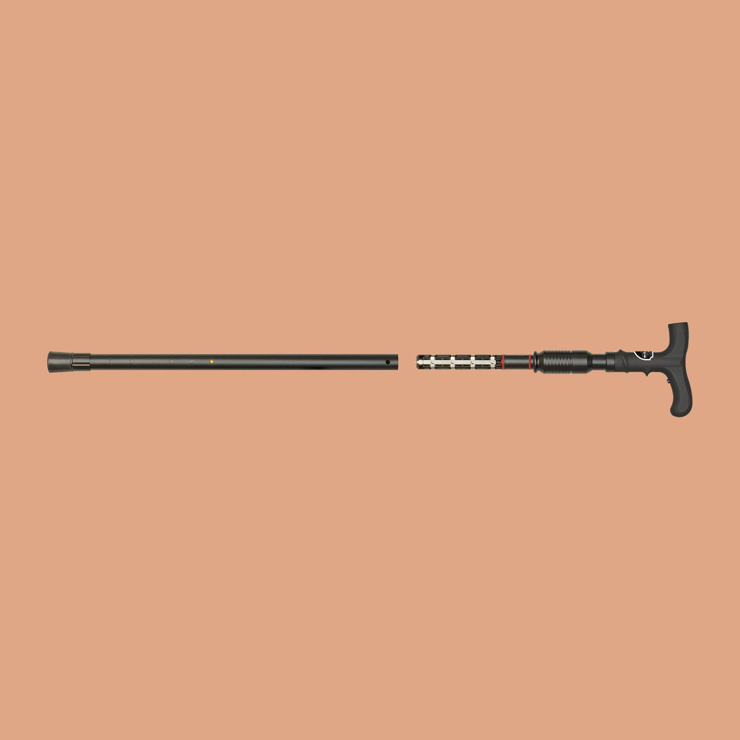 ZAP Walking Cane w/ Case
