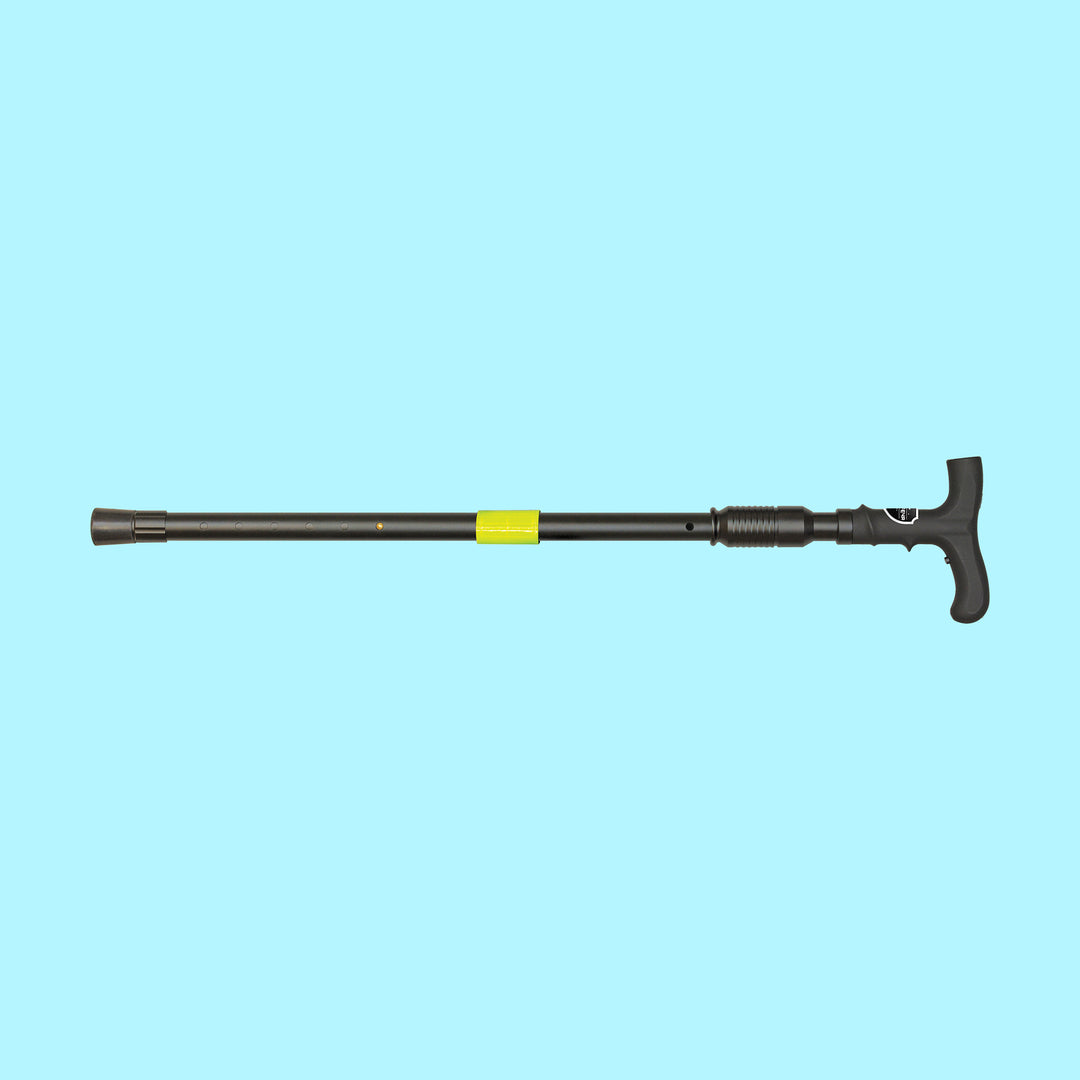 ZAP Walking Cane w/ Case